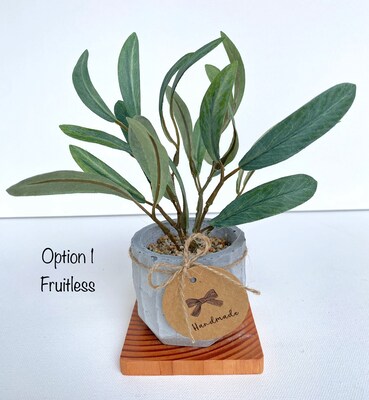 Artificial Mini Olive Tree in Handmade Pot with Wood Coaster - Small Faux Olive Tree - image4